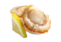 噴火湾産大粒ほたて