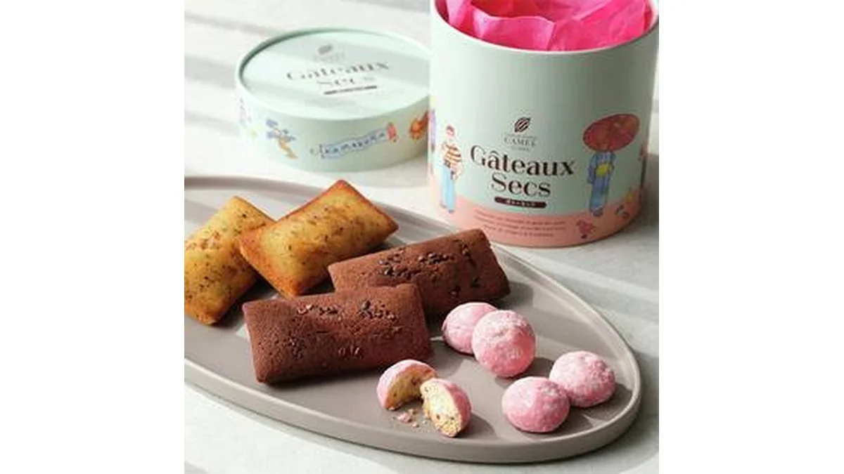 ショコラトリーキャメル　エピュイ　ガトーセック　5袋