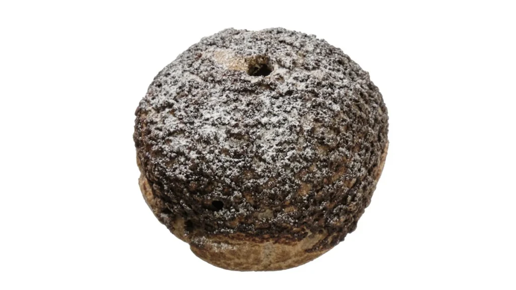 クッキークリームシュー