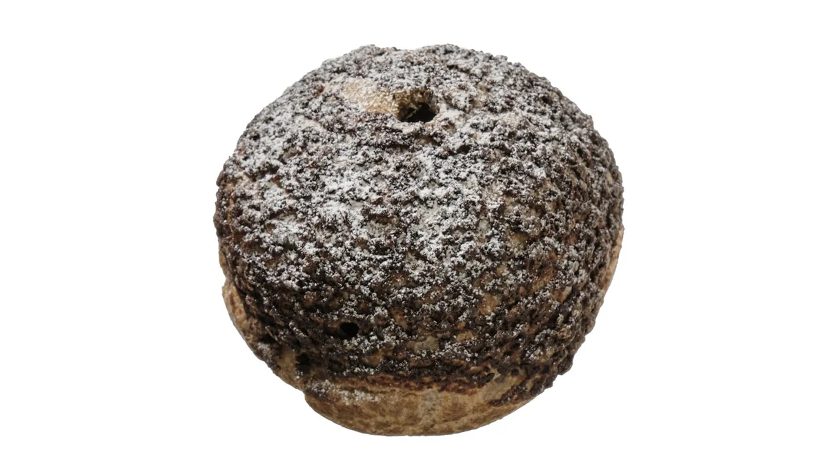 クッキークリームシュー