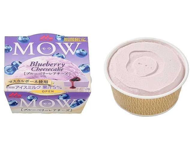 森永　モウ　ブルーベリーレアチーズ