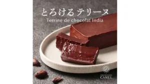 【予約販売】オンラインストア限定　ショコラトリーキャメル　テリーヌドショコラ（インド）1本　冷凍●送料込み●【5月中旬お届け】