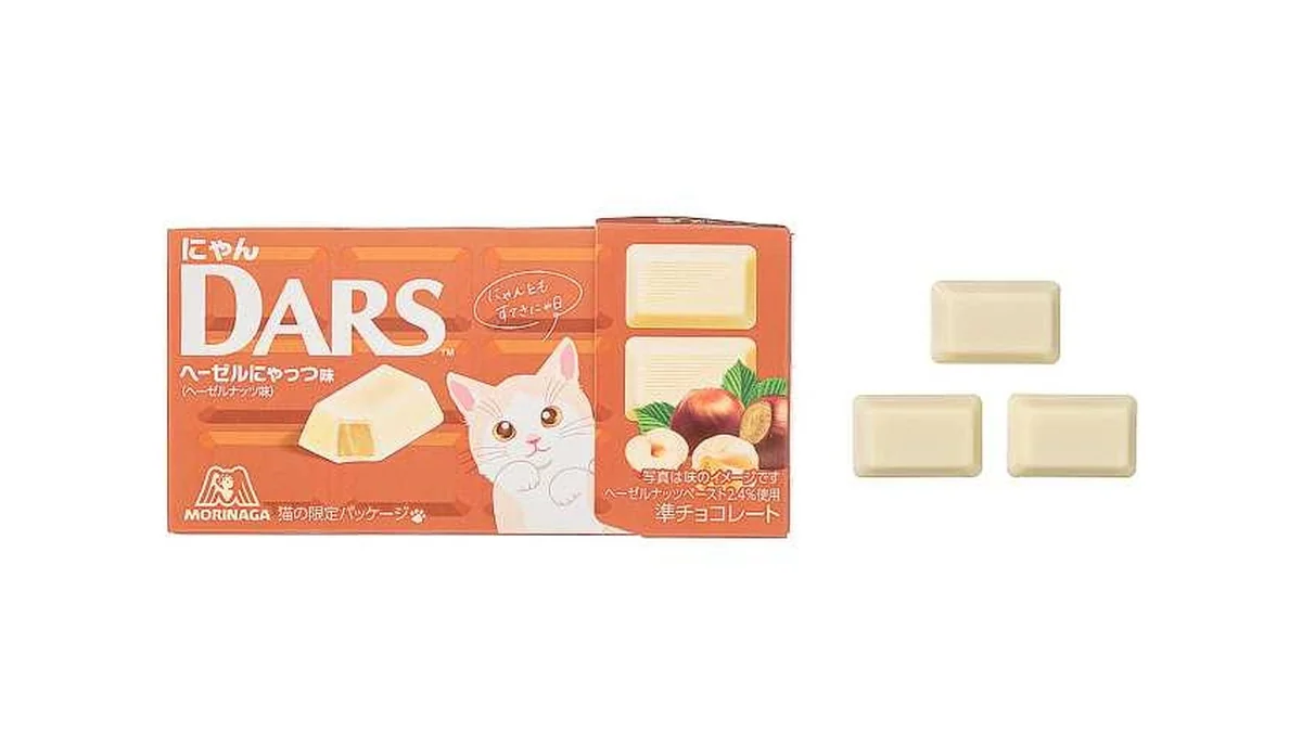 森永　にゃんダース　ヘーゼルにゃっつ味