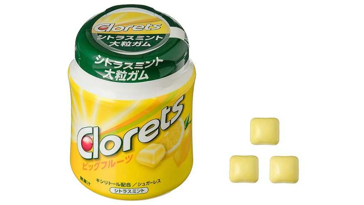 モンデリーズ　クロレッツビッグフルーツシトラスミント　ボトル