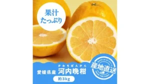 【予約販売】オンラインストア限定　愛媛県産　河内晩柑（かわちばんかん）　3kg●産地直送・送料込み●【6月上旬-中旬頃お届け予定】