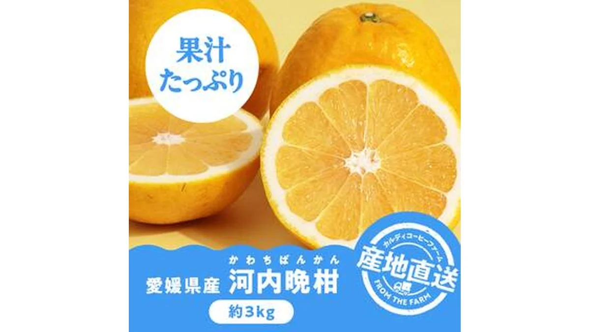 【予約販売】オンラインストア限定　愛媛県産　河内晩柑（かわちばんかん）　3kg●産地直送・送料込み●【6月上旬-中旬頃お届け予定】