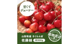 【予約販売】【冷蔵】オンラインストア限定　山形県産さくらんぼ　佐藤錦（秀・Lサイズ）500g　●産地直送・送料込み●【6月中-下旬頃お届け予定】