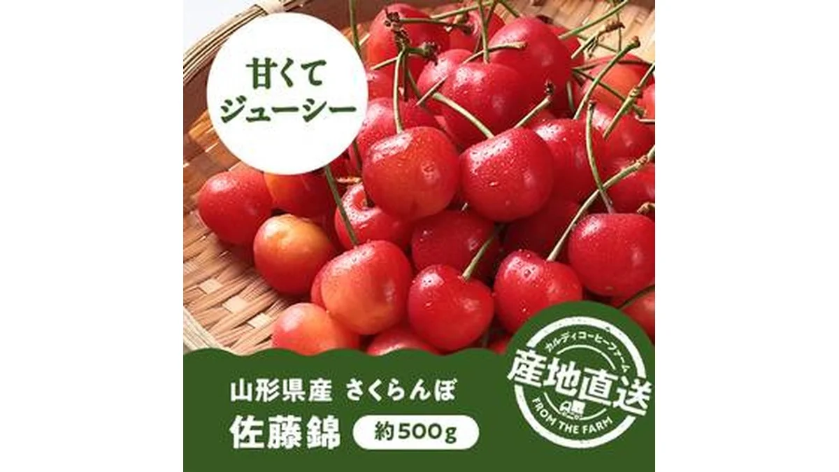 【予約販売】【冷蔵】オンラインストア限定　山形県産さくらんぼ　佐藤錦（秀・Lサイズ）500g　●産地直送・送料込み●【6月中-下旬頃お届け予定】