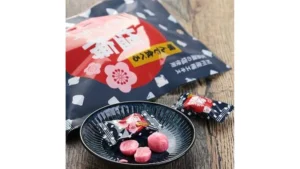 噛んで食べる塩梅キャンディ　80g