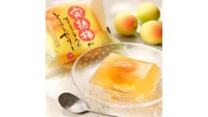 完熟梅がまるごと入ったとろけるゼリー　1個【賞味期限：2026/7/19】