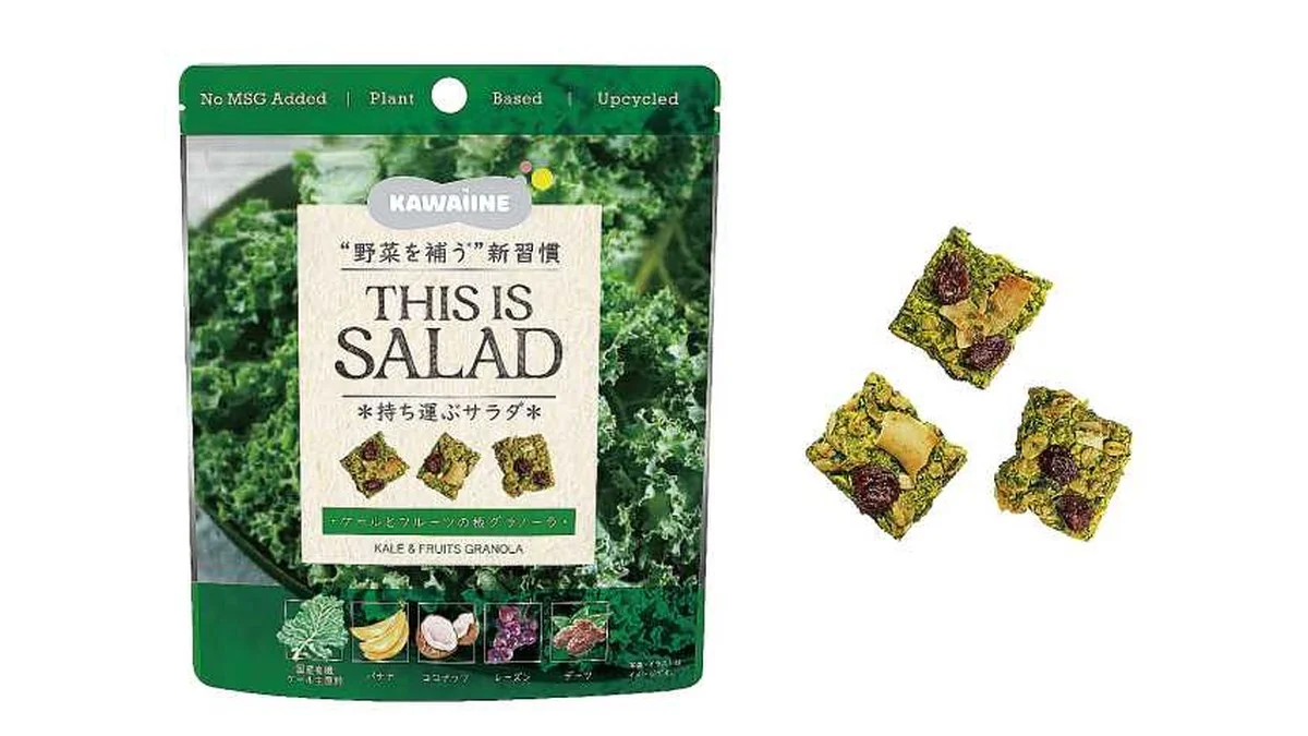 ＴＨＩＳ　ＩＳ　ＳＡＬＡＤ　ケールとフルーツの板グラノーラ