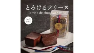【予約販売】オンラインストア限定　ショコラトリーキャメル　テリーヌドショコラ　サモア（ハーフ）1個　冷凍　●送料込み●【8月中旬頃お届け】