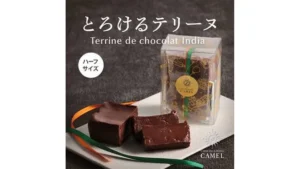 【予約販売】オンラインストア限定　ショコラトリーキャメル　テリーヌドショコラ　インド（ハーフ）1個　冷凍　●送料込み●【8月中旬頃お届け】