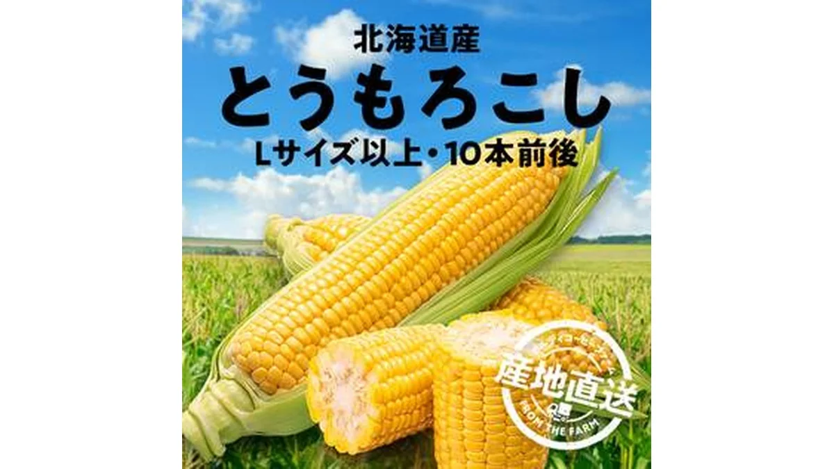 【予約販売】【冷蔵】オンラインストア限定 北海道産とうもろこし(Lサイズ以上・10本前後)(ゴールドラッシュ、あまいんです)●産地直送・送料込み●【7月下旬-8月上旬お届け】